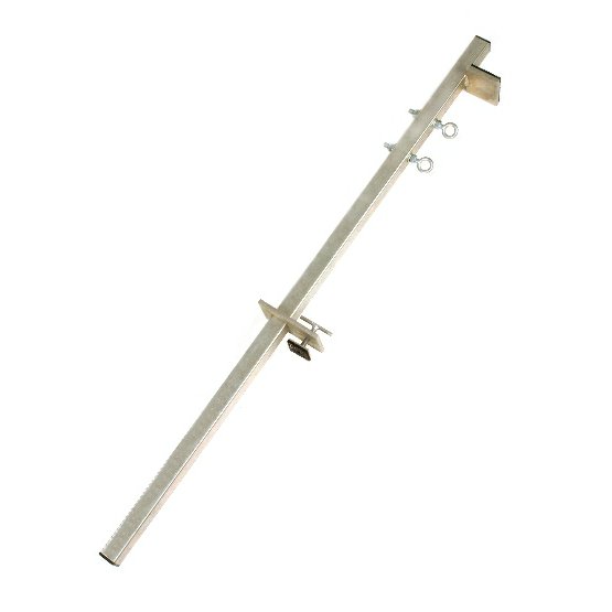 jistici vzperka belka.jpg