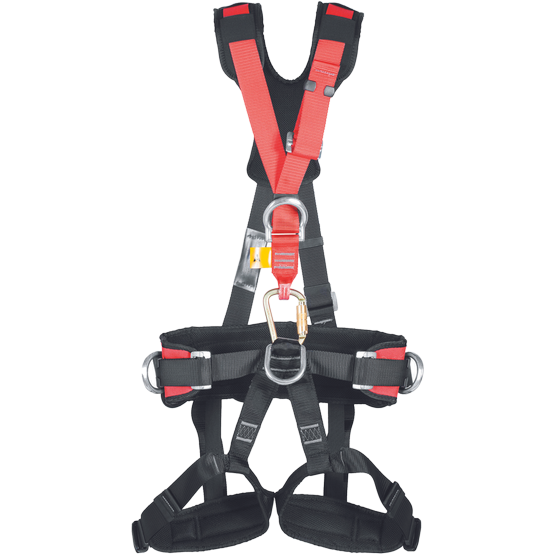Profi evo.png