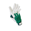 Technik+ green.png